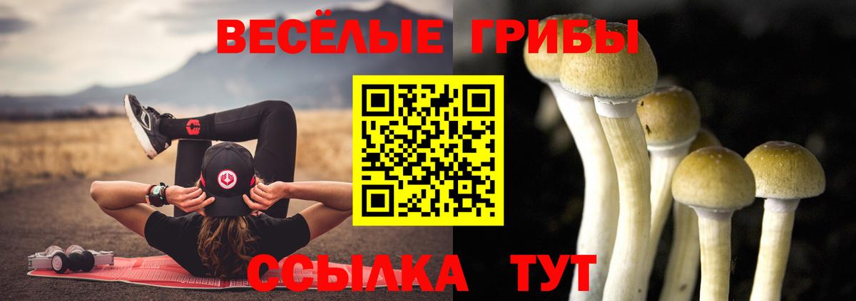 Красноперекопск  Псилоцибиновые грибы MAGIC MUSHROOMS  Вход с VPN 
